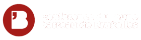 Conférence du jeune barreau de Bruxelles